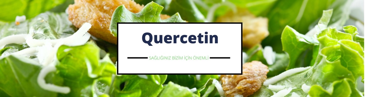 Quercetin (Kuersetin)
